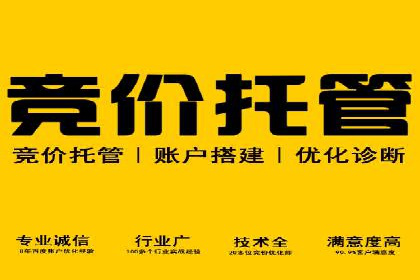 百度推广代运营公司案例分析